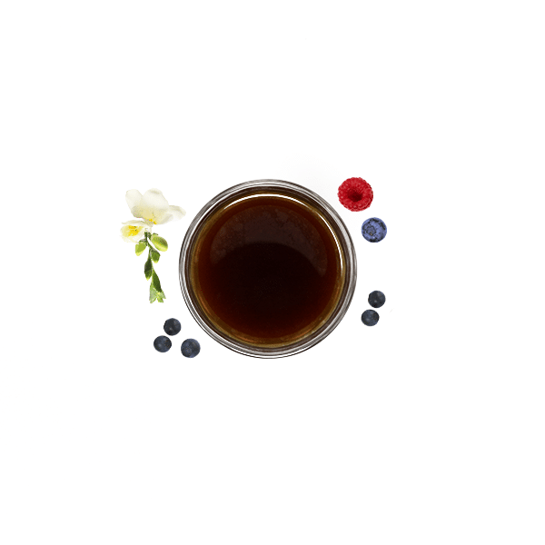 Wilton Benitez SL-28 Ultrasonic