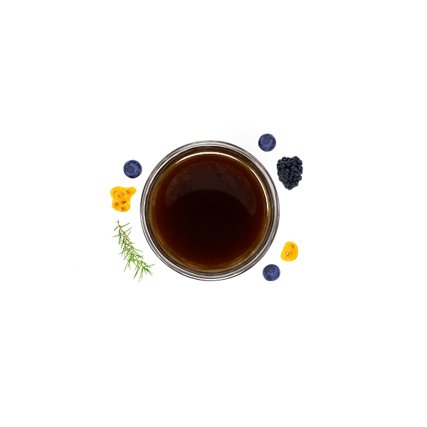 Monteblanco Purple Caturra Blueberry Co-Ferment
